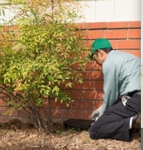 Image for Habitat Pest Control with ID of: 2413291
