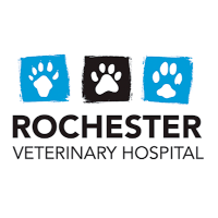 Image for Rochester Veterinary Hospital with ID of: 2414661