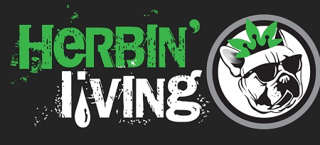 Image for Herbin Living Smoke Shop with ID of: 2415879