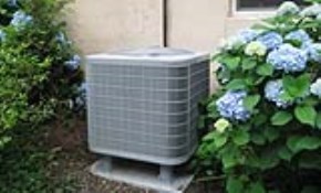 Image for Sobieski Services, Inc. with ID of: 2418554