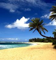 Image for Hawaii Best Loans LLC with ID of: 2424488