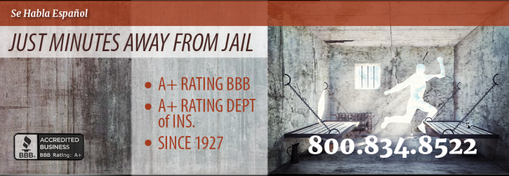 Image for Steven Mehr Bail Bonds with ID of: 2425879
