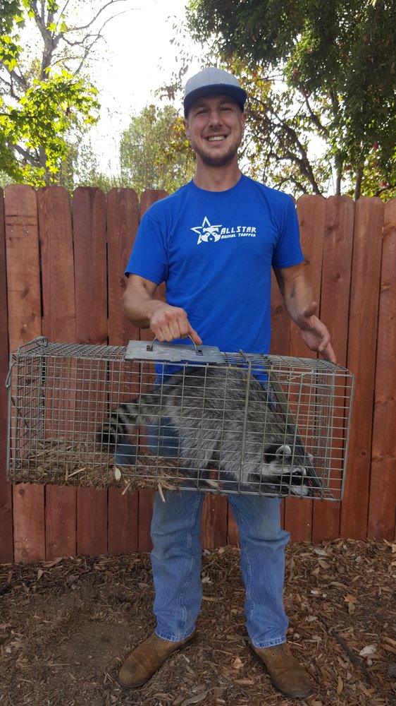 Image for All Star Animal Trapping with ID of: 2426765