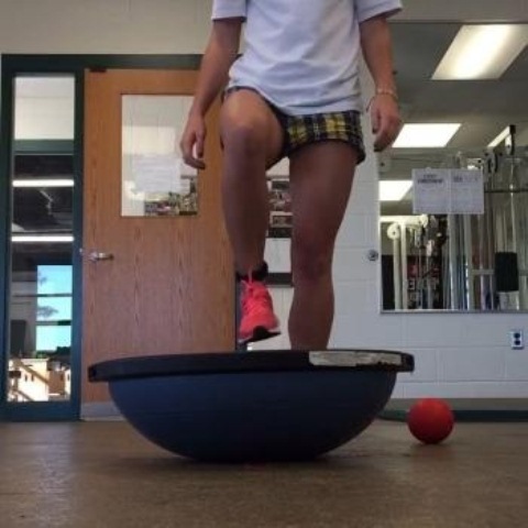 Image for True Sports Physical Therapy with ID of: 2427098
