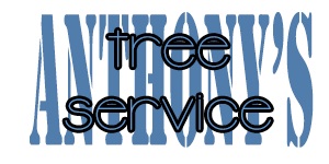 Image for Anthony’s Tree Service Wichita with ID of: 2430491