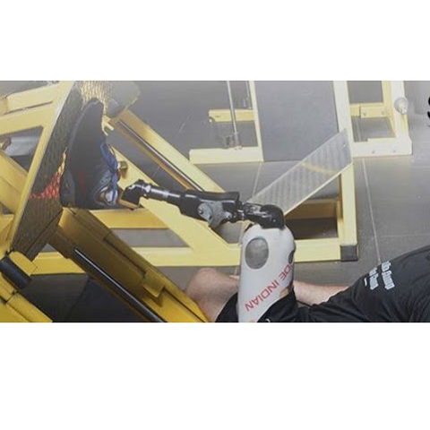 Image for Scheck & Siress with ID of: 2432997