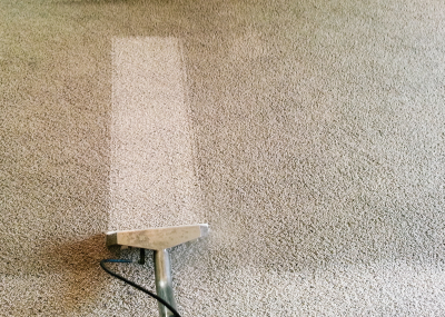 Image for Maywood Carpet Cleaning with ID of: 2433850