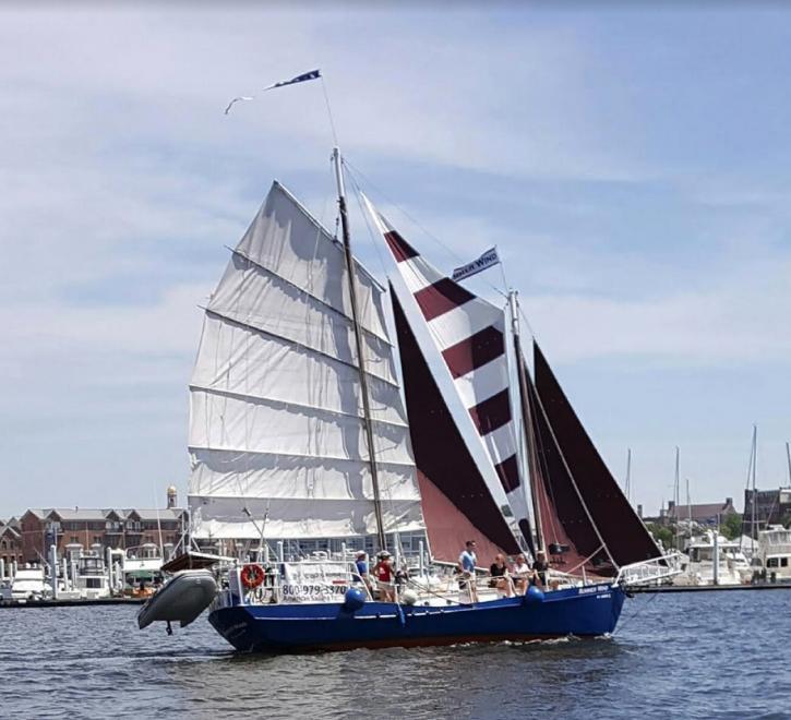 Image for American Sailing Tours with ID of: 2434499
