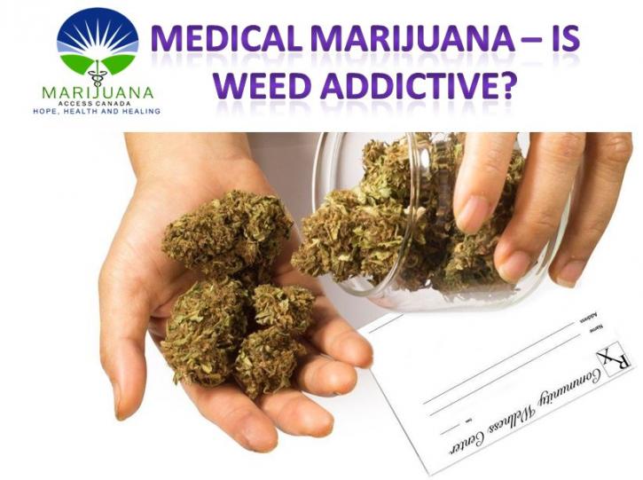 Image for Canada Medical Marijuana Doctors with ID of: 2435147
