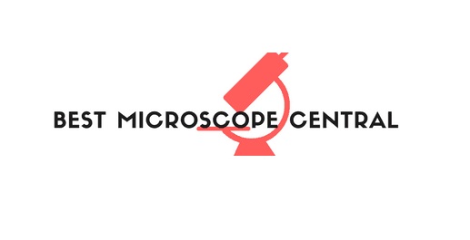 Image for bestmicroscopecentral with ID of: 2436768