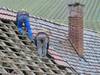 Image for Dream Roofing LLC with ID of: 2437123