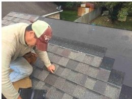 Image for SBG Roofing with ID of: 2437236