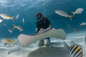 Image for Cayman Turtle Divers with ID of: 2437473