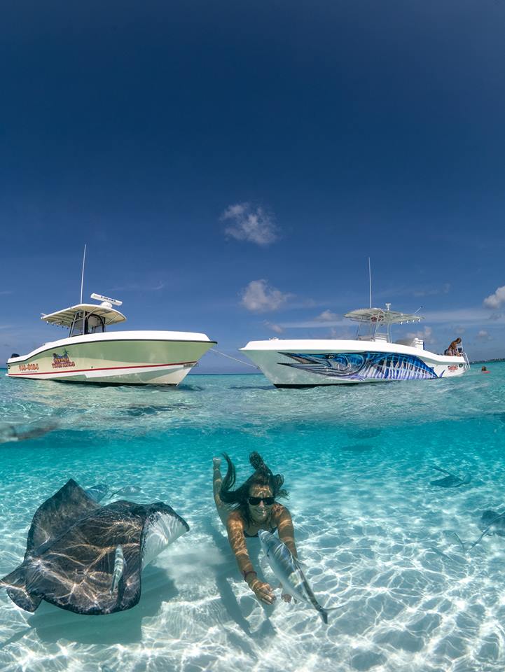 Image for Cayman Turtle Divers with ID of: 2437475