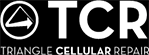Image for TCR: Triangle Cellular Repair with ID of: 2437497