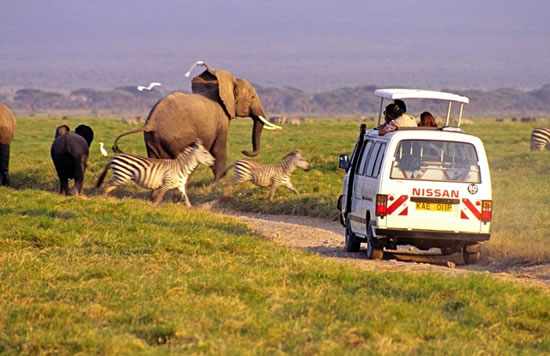 Image for Mombasa Safari Trips with ID of: 2437673