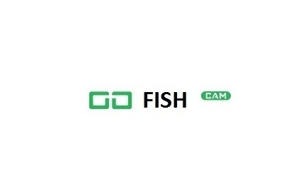 Image for GoFish Cam with ID of: 2437878