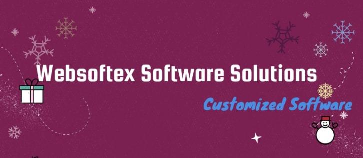 Image for Websoftex Software Solutions Pvt Ltd with ID of: 2438062