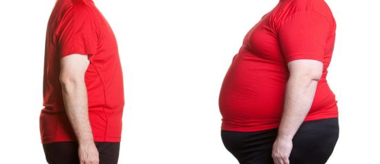 Image for Ayurvedic treatment for obesity with ID of: 2438640