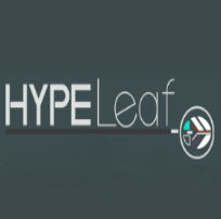 Image for Hypeleaf Digital Solutions with ID of: 2439280