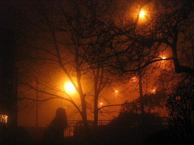 Image for Nocturnes, Montclair  with ID of: 244