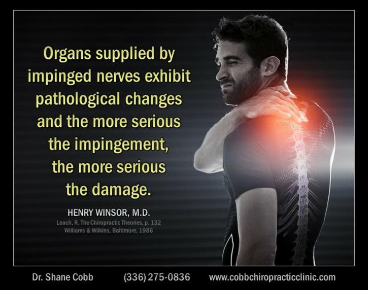 Image for Cobb Chiropractic Clinic with ID of: 2441105