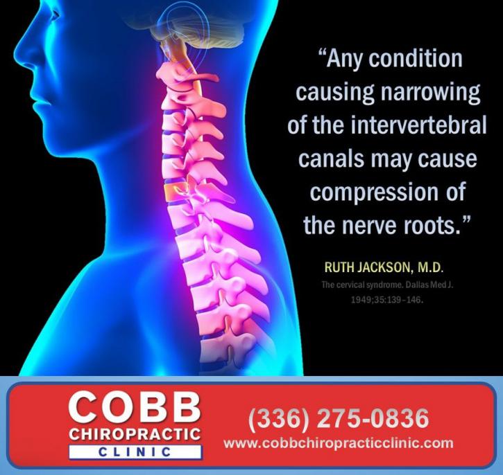 Image for Cobb Chiropractic Clinic with ID of: 2441107