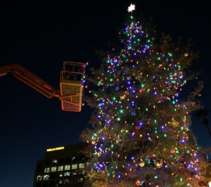 Image for We Hang Christmas Lights LLC with ID of: 2441220