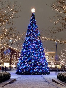 Image for We Hang Christmas Lights LLC with ID of: 2442090