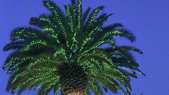 Image for We Hang Christmas Lights LLC with ID of: 2442099