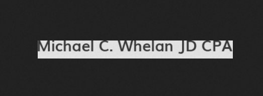 Image for Cyber-Construction: Michael Whelan Tax with ID of: 2443410