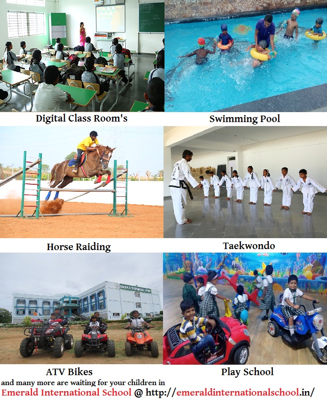 Image for Emerald International School with ID of: 2444693