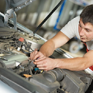 Image for BWI Automotive with ID of: 2445070