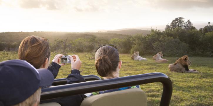 Image for Kenya Romantic Safaris Tours with ID of: 2445409
