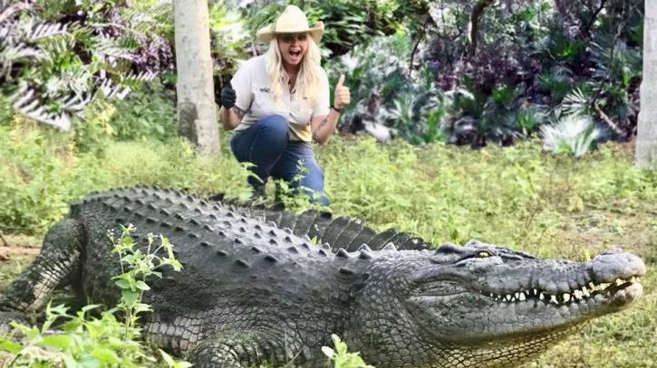 Image for Gatorland with ID of: 2445494