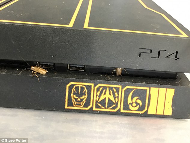 Image for PS4 Bug Infested repair centre in the UK. with ID of: 2449831