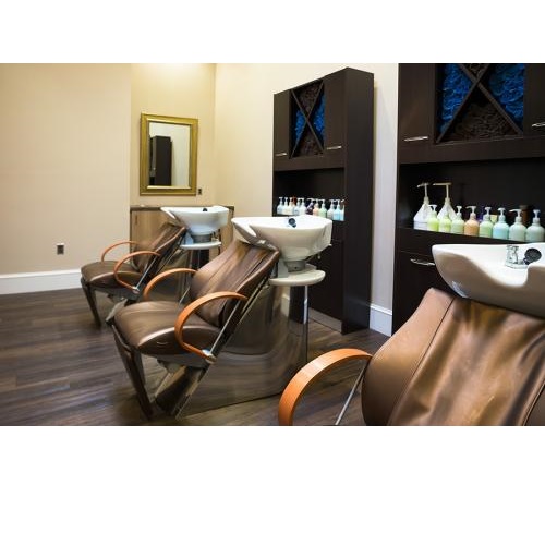 Image for Nordine Salon & Day Spa - Gainesville with ID of: 2449938