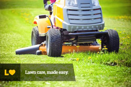 Image for Lawn Love Lawn Care with ID of: 2450024