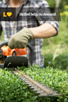 Image for Lawn Love Lawn Care with ID of: 2450026