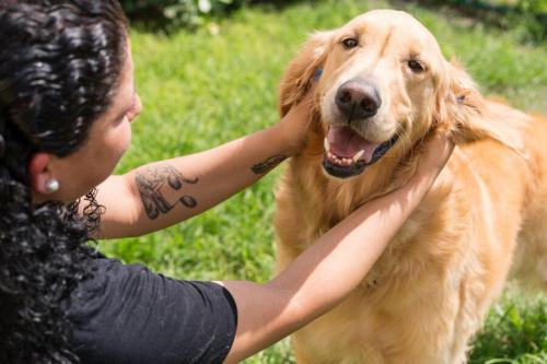 Image for Doggies Gone Wild with ID of: 2450040