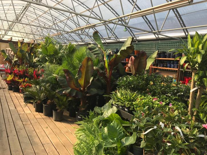 Image for Decker's Nursery with ID of: 2450567