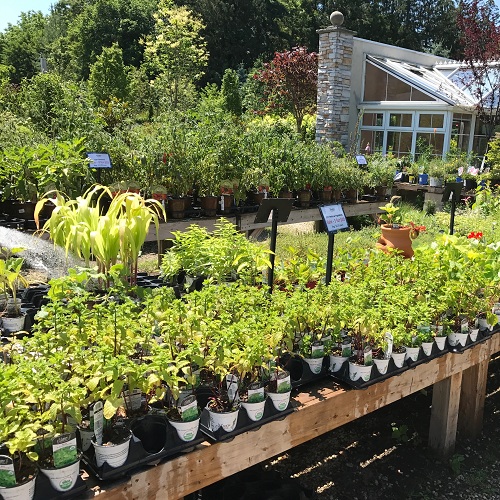 Image for Decker's Nursery with ID of: 2450568