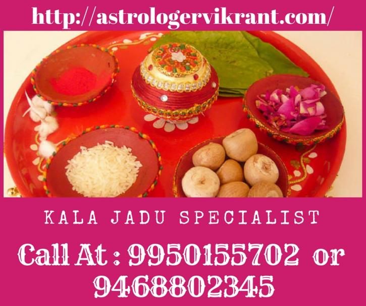 Image for Voodoo Spells Specialist with ID of: 2455074