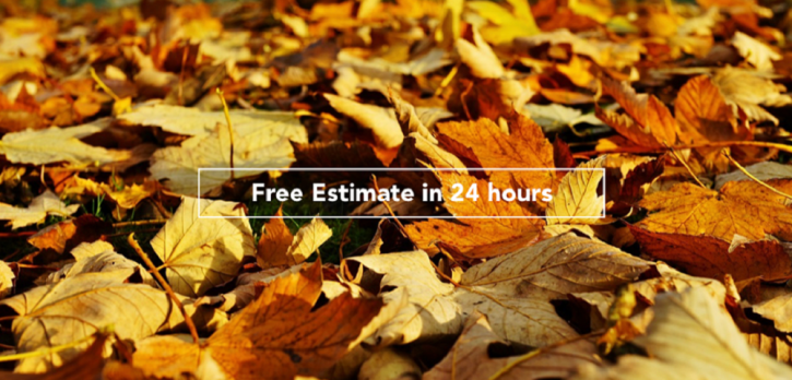 Image for Victory Lawn Care Services with ID of: 2456291