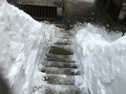Image for As Winter Approaches, Watch Your Step with ID of: 2457991
