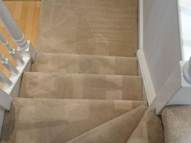 Image for Pro Teck Carpet Cleaning with ID of: 2458281