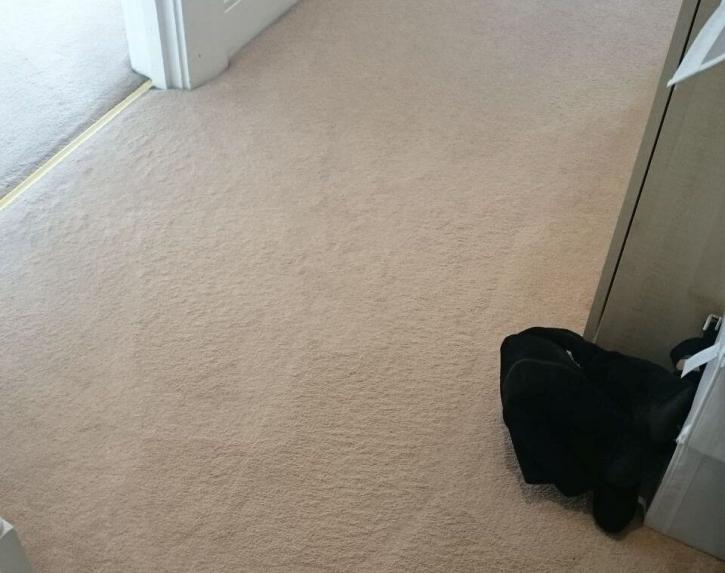 Image for Pro Teck Carpet Cleaning with ID of: 2458282