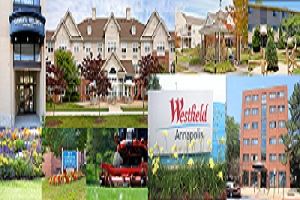 Image for Blythewood Landscape Management with ID of: 2458977