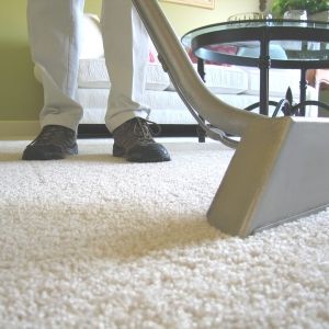 Image for Fiber Clean with ID of: 2461254