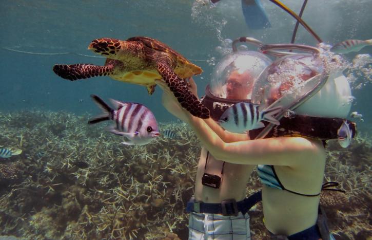Image for Helmet Diving Excursions for Non Swimmers: A True Unique Experience for the Non Divers with ID of: 2461492